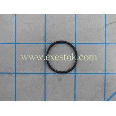 O-RING