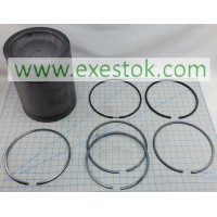 PISTON ASSEMBLY