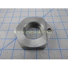 NUT SLOTTED SPECIAL 