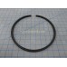 PISTON RING - SCRAPER STANDARD
